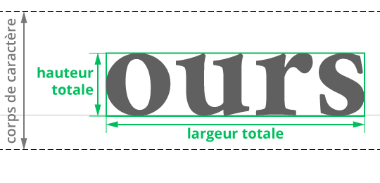 Explication corps de caractère et dimensions des lettres - Exemple mot ours